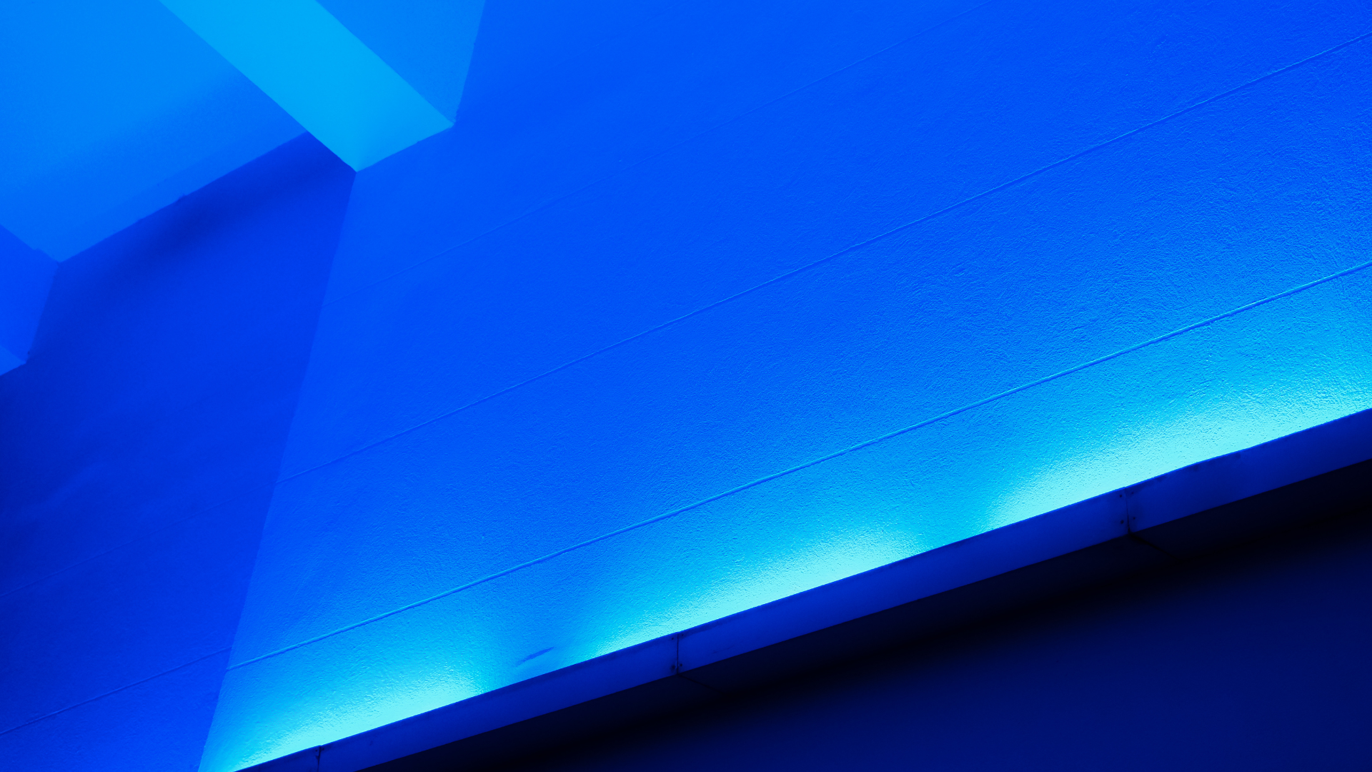 From Lab Coat to Laptop – My Unexpected Journey into Web Development