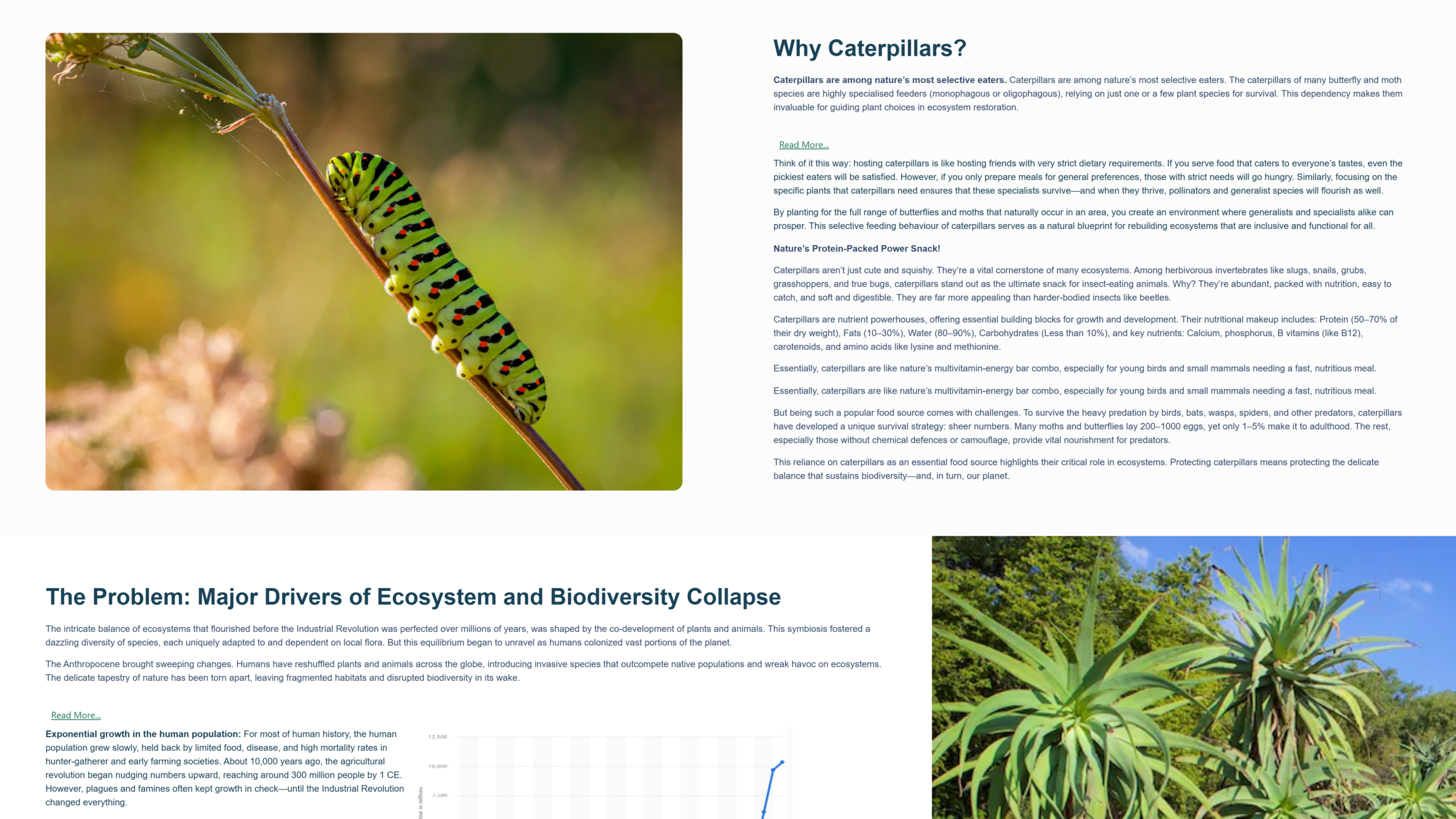 https://cms.mattypfoot.com/wp-content/uploads/2026/04/ecorestoration.co_.za_about-us-1-scaled.png
