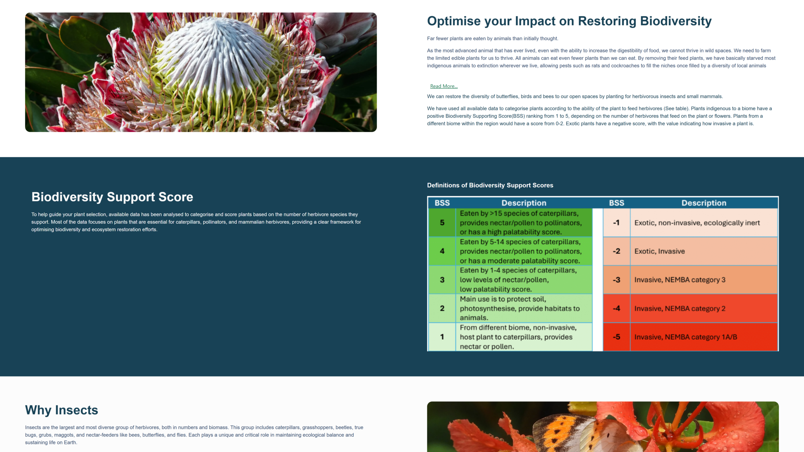 https://cms.mattypfoot.com/wp-content/uploads/2026/04/ecorestoration.co_.za_about-us-scaled.png