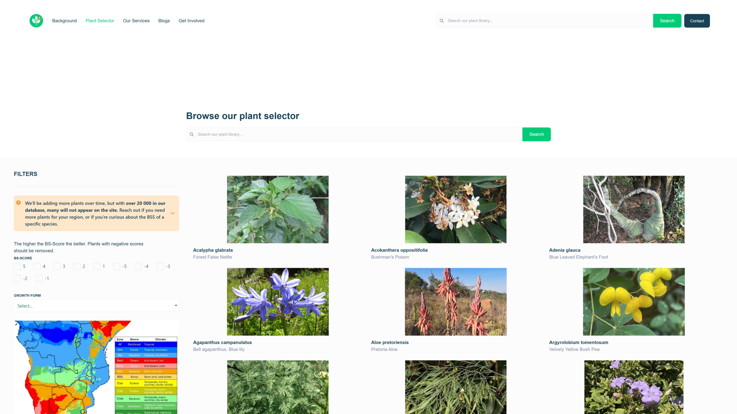 https://cms.mattypfoot.com/wp-content/uploads/2026/04/ecorestoration.co_.za_plant-info-scaled.png